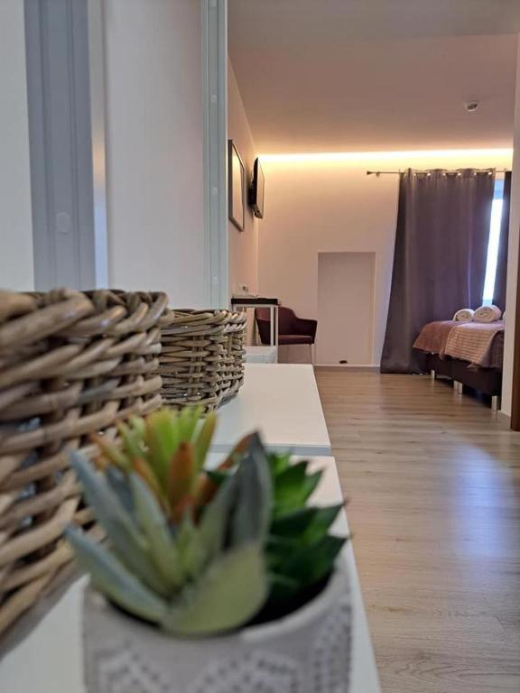 Olhos D' Agua Otel Alcanena Dış mekan fotoğraf